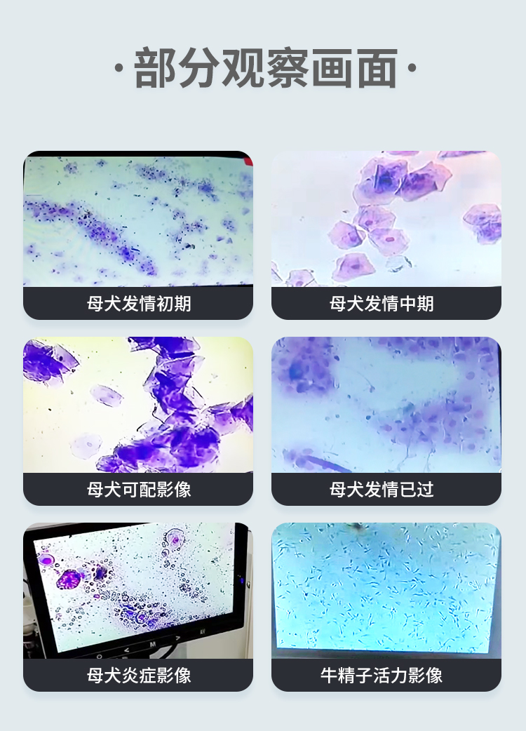 顯微鏡_08