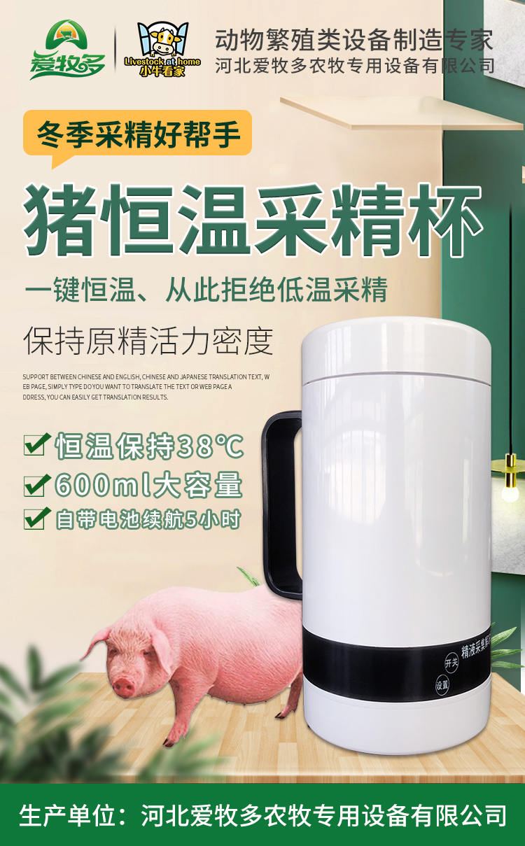 豬恒溫采精杯