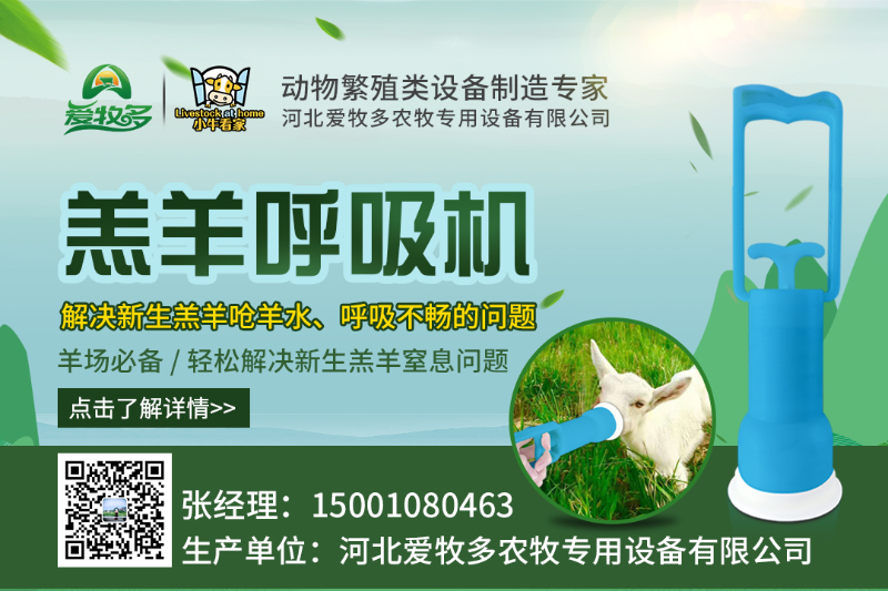 羔羊呼吸機