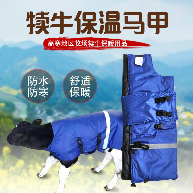 小牛看家,犢牛保溫馬甲