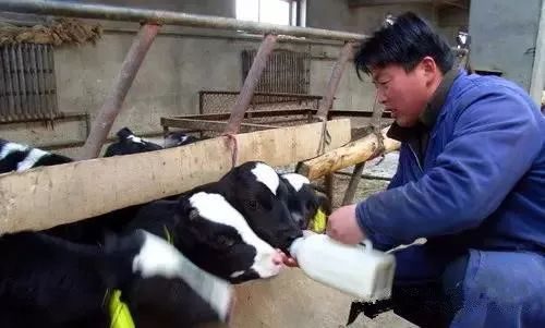 降低飼養的密度