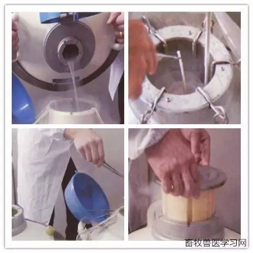 凍精保存