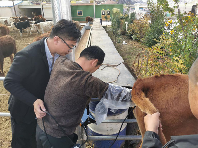 甘肅省甘南藏族自治州畜牧工作站-愛牧多案例