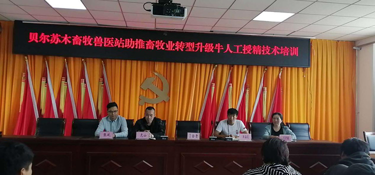 內蒙古呼倫貝爾市貝爾蘇木畜牧獸醫站-愛牧多案例