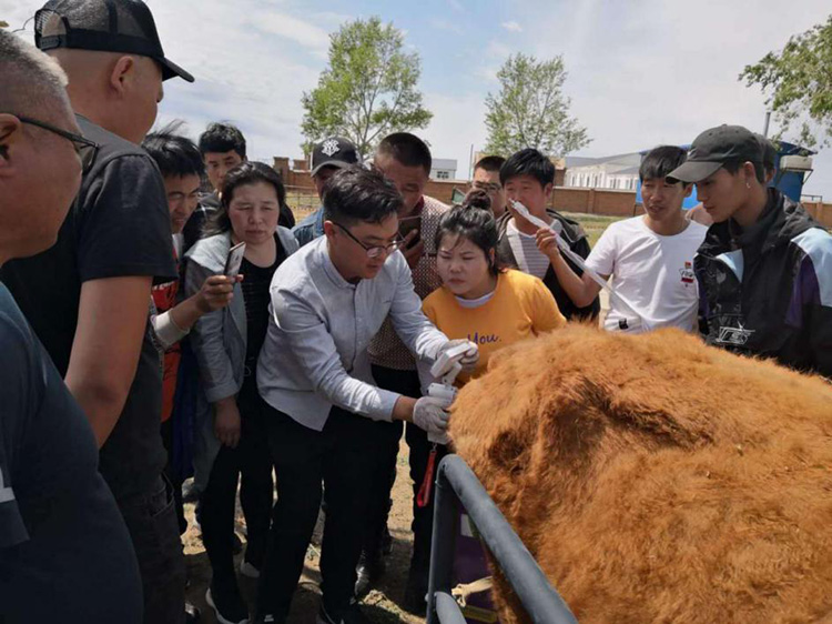 內蒙古呼倫貝爾市貝爾蘇木畜牧獸醫站-愛牧多案例