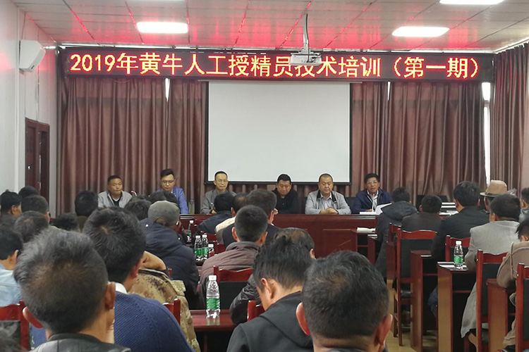 四川涼山州昭覺縣畜牧站-愛牧多案例