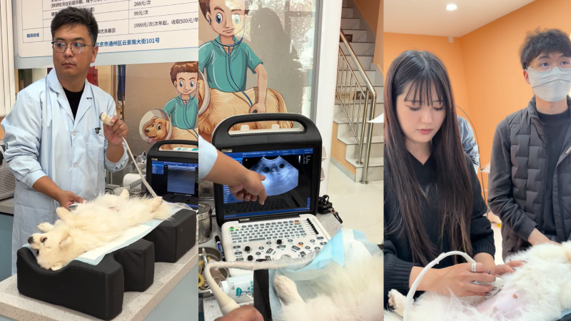 企業微信截圖_17629397848469