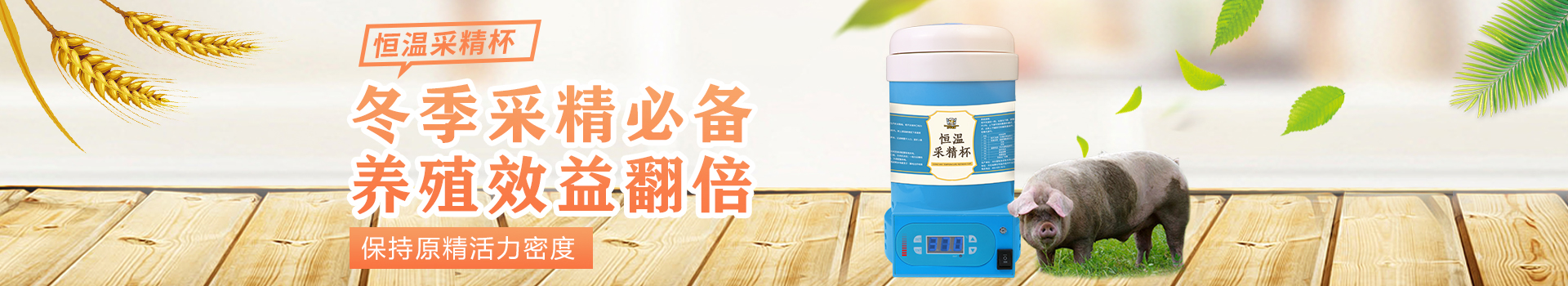 愛牧多豬用繁育養(yǎng)殖設備,豬排卵測定儀