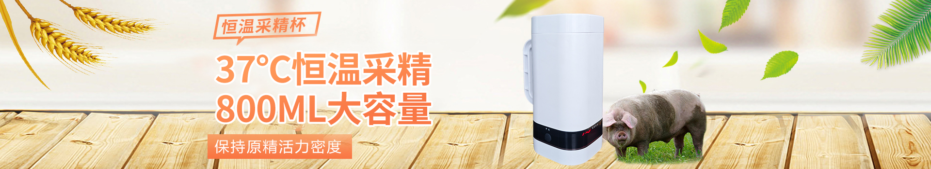 愛牧多豬用繁育養(yǎng)殖設(shè)備,豬排卵測(cè)定儀