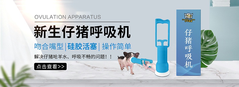 網站